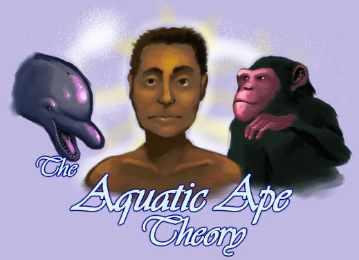 The Aquatic Ape Hypothesis by Elaine Morgan The Aquatic Ape Hypothesis by Elaine Morgan